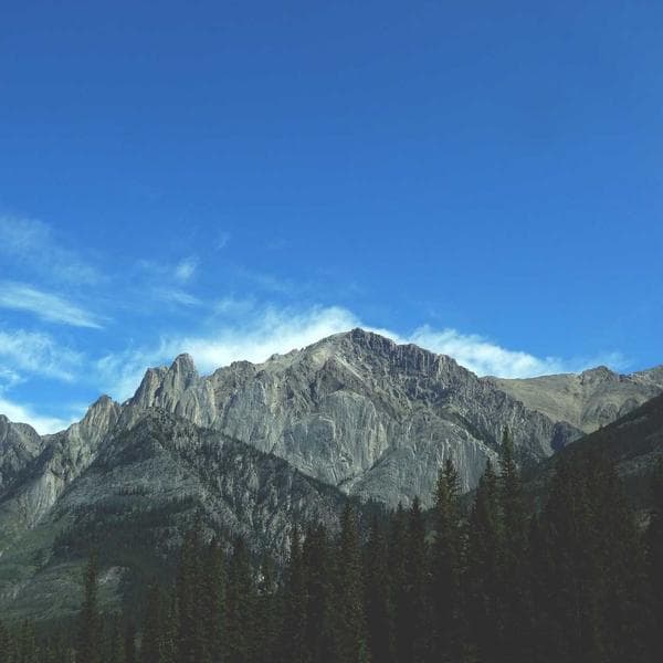 Girls Party Wear Dress thumbnail 2