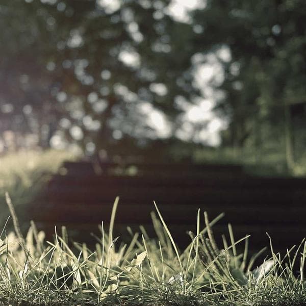 Girls Party Wear Dress